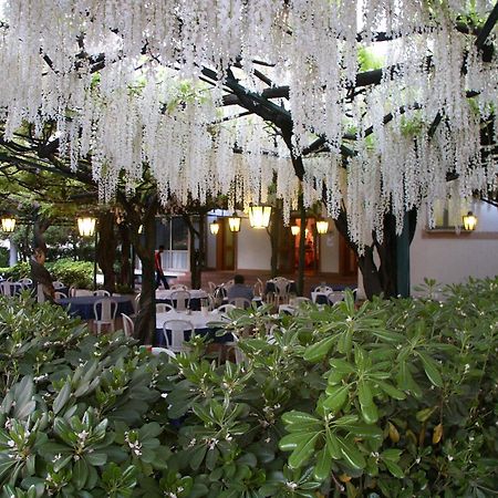 Albergo Ristorante Papa Peschiera del Garda Exterior photo