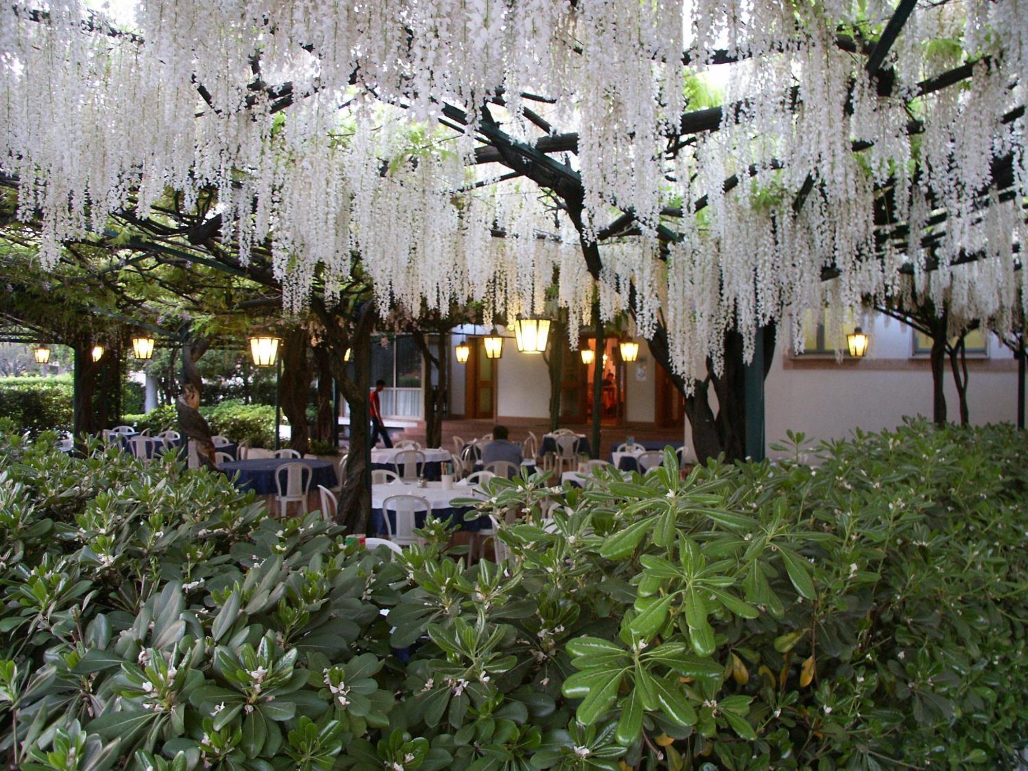 Albergo Ristorante Papa Peschiera del Garda Exterior photo